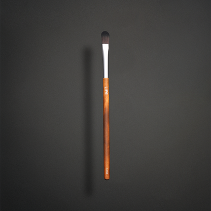 LC55 Precision Lip Brush