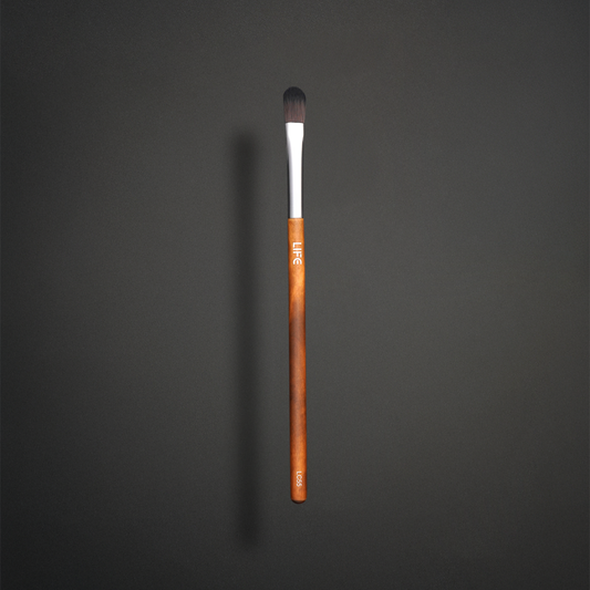 LC55 Precision Lip Brush